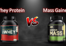 Whey Protein vs Mass Gainer